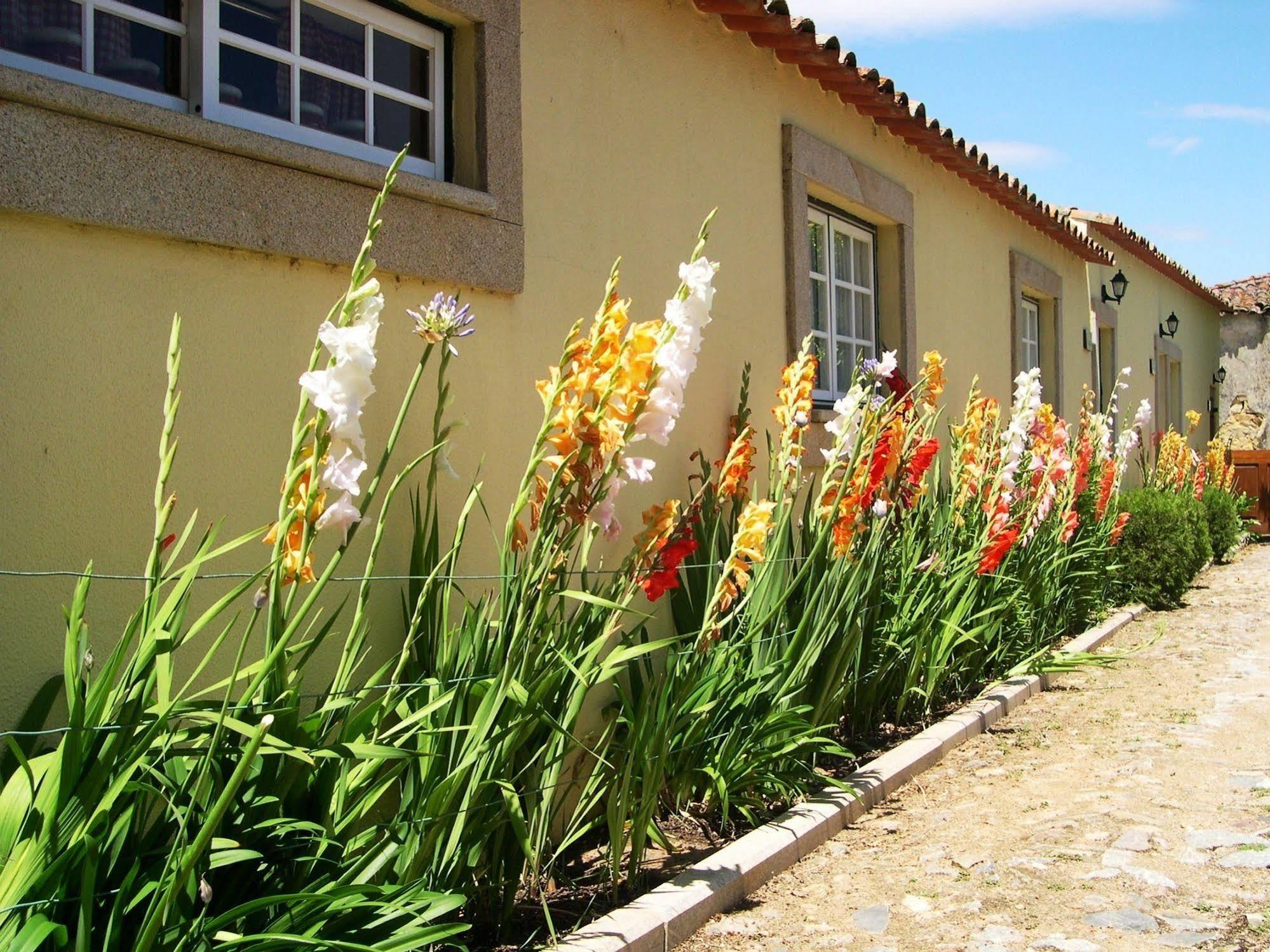 Hospedaria Do Convento D'Aguiar- Turismo De Habitacao Hotel Figueira de Castelo Rodrigo Exterior photo